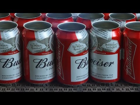 Budweiser's 2018 Super Bowl commercial