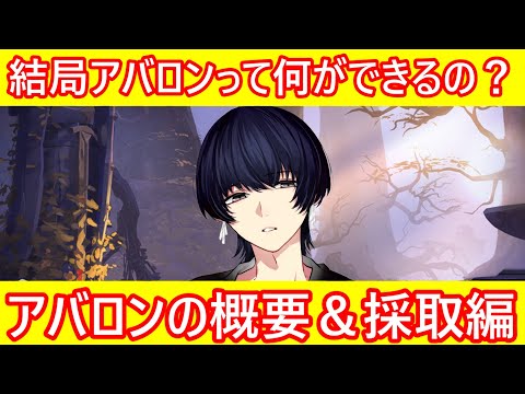 アヴァロンについて詳しく解説
