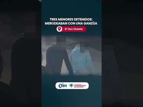 B° San Vicente 🚨 Tres menores detenidos: merodeaban con una ganzúa