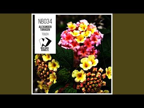 Touch (Original Mix)