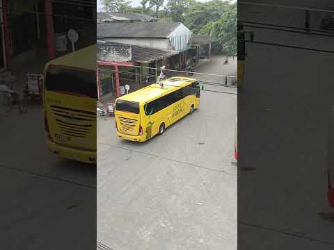 Desde Chigorodó - Antioquía - Colombia saludos