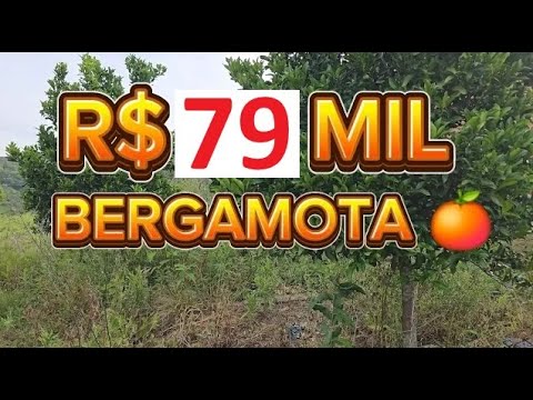 Vídeo