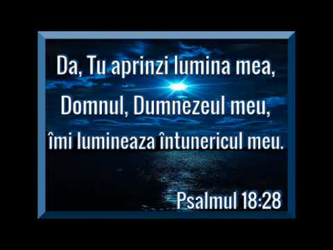 Din noaptea grea - Negativ