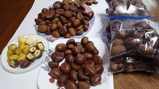 밤저장 55일 결과는 어떨까요?? 많은 도움이 되실거에요