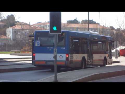 STCP - Linha 201, veículo 1792, no Foco (Bessa)