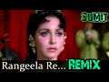 Rangeela Re Tere Rang Mein | Remix | Sumit |