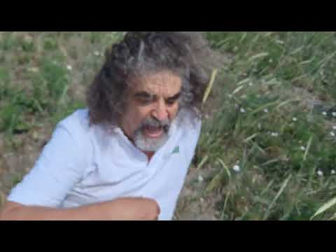 Botanikus a konyhában - 481. - évelő rozs (Secale cereanum 'Gergő')