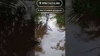 Download lagu buaya di kota pinang😮 'labusel' mp3