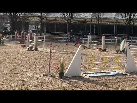 5v years old by Diarado-Cassini I