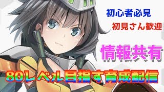 【装甲娘】８０レベル目指して育成生配信！情報共有がしたい！