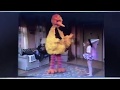 Big Bird And Gabi Dance The Ouchy Back Ballet How Far I Go