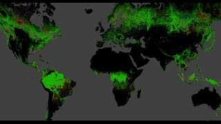 [LIVE] Mapping Global Forest Change: Discussion, Demonstration, live Q