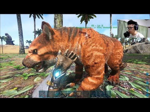 WE TAMED A LION AND THE FLAMING BABY DRAGON WAS BORN! WILD - ARK SURVIVAL EVOLVED Ep 38