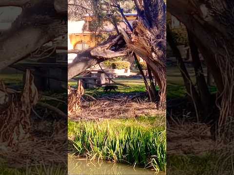 Magia de la Naturaleza en Huerta Grande, Córdoba, Argentina.#huertagrande