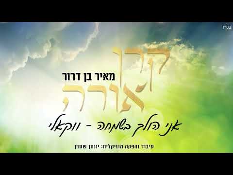 אני הולך בשמחה - ווקאלי - מאיר בן דרור | Ani holech beshimcha - A cappella - Meir Ben Dror
