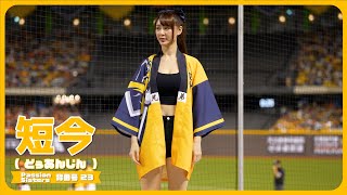 法被もはだける岳東華応援📣 短今（Sammie）Passion Sisters 中信兄弟啦啦隊  臺北大巨蛋 2024/10/19【台湾チアTV】