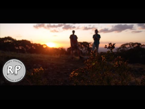 Peace By Piece - Nobody Listens To A Nobody