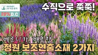 주인공은 아니지만 정원의 보조 연출로 최고인 야생화 2가지 추천!!!!!