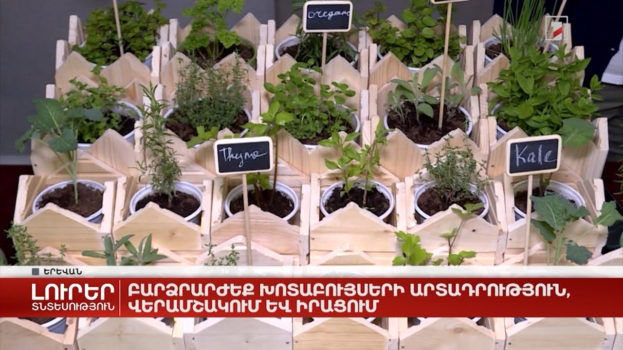 Բարձրարժեք խոտաբույսերի արտադրություն, վերամշակում և իրացում