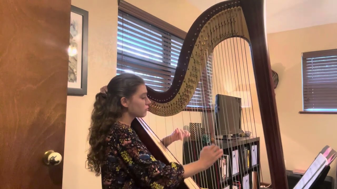 Promotional video thumbnail 3 for Madeleine Restaino Harpist