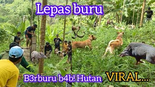 Download lagu B3RBURU B4B! HUTAN VIRAL ‼️PASBUR MELATIH ANJING P3MBURU B4B! HUTAN mp3