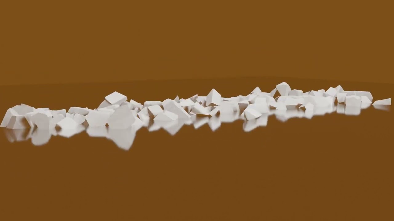 MOTION PRACTICE