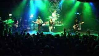 The Long Blondes - Weekend Without Makeup live (BBC)