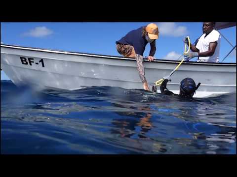 Antigua and Barbuda, Montserrat