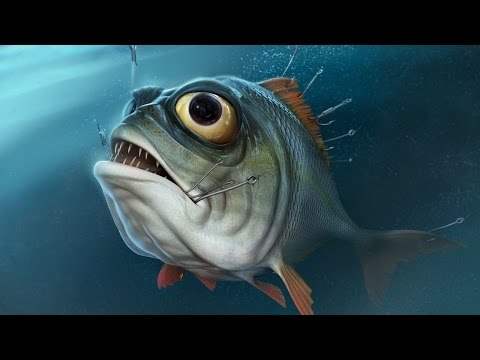 Video for children. Aggressive fish like piranhas eating stale bread at the marina