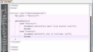 Beginner JavaScript Tutorial - 18 - switch