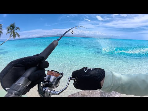 Hooking Monster Fish in Paradise - Solo Camping and Cooking