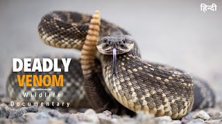 Deadly Venom - हिन्दी डॉक्य�