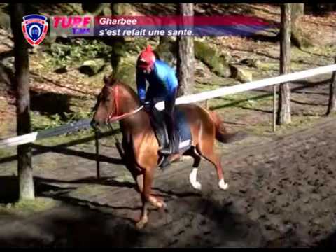 FLOREAL NEWS - RACE MEETING 23 (03.09.2016)