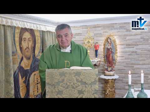 "El Tiempo Pasa Veloz. No lo Desperdicies" | Homilía, Viernes XXIX Semana del T.O (23-10-2026) | P. Santiago Martín, FM