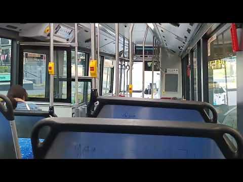 Punchbowl Bus Company - 8416 - BYD D9RA/Gemilang Ecocity[Hannans Road](946 - Roselands)