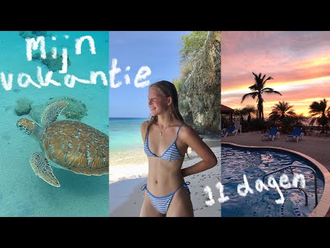 Curacao vacation *diving certificate, resort, beaches ✩ Lydia Elisabeth