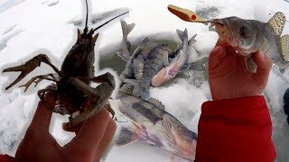Ссылка