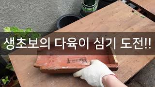 가드닝 생초보 바리스타 김의 다육이 심기 도전!