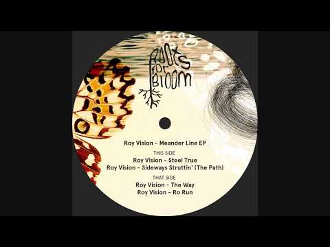 Roy Vision - Sideways Struttin' (The Path)