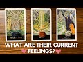 What are their current feelings? ✨🤔💕✨| Pick a card