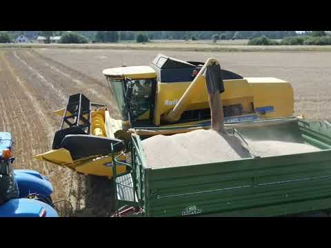 Żniwa 2022🌾🌱 / Ranczo Dolidki