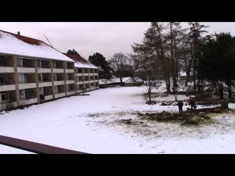 MongoTV_666 - SATAN 666 - Gammel Træ Baggård Opskæres Og De larmer 666 Minutter