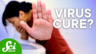 We Might Finally Be Able to Treat the "Stomach Flu" (#inmice)