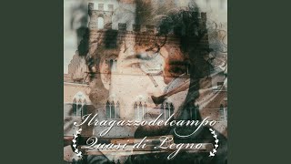 QUASI DI LEGNO Music Video
