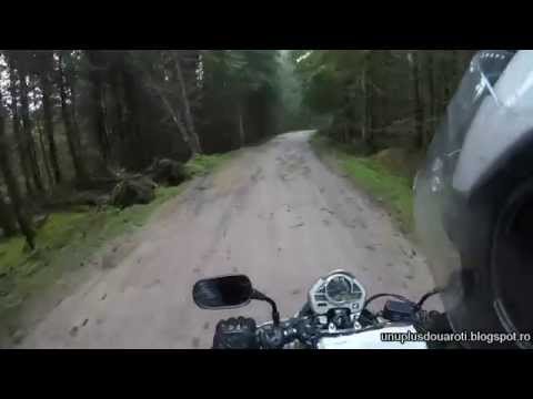 Trans Apuseni: Drum Rachitele - Padis - Pietroasa