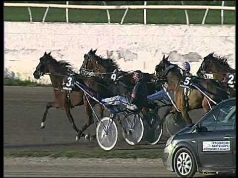 Trotto 29/11/2015 - 3° corsa