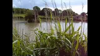 preview picture of video 'Carp Fishing at Hazel Court Ponds.'