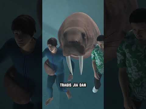 Orang yg Meninggal Akibat Hewan Part 6