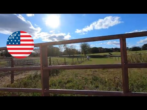 INTRO TO THE HOBBY FARM HOMESTEAD #HOBBYFARMING