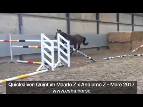 Quicksilver: Quint vh Maarlo x Andiamo